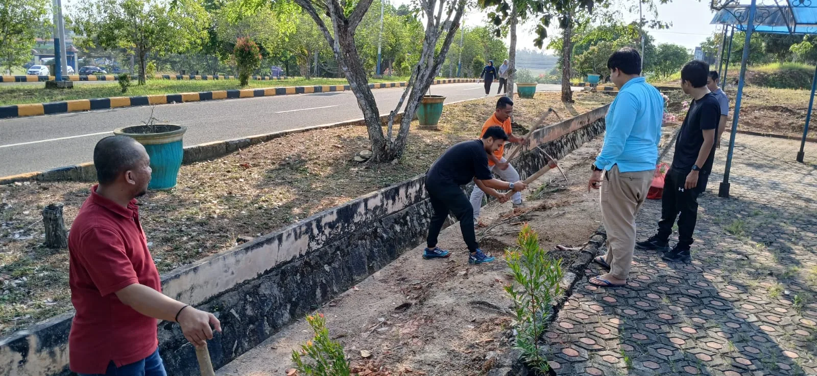 Hijaukan FISIP UBB: Dosen dan Tendik Tanam Alpukat hingga Cat Tangga Kampus